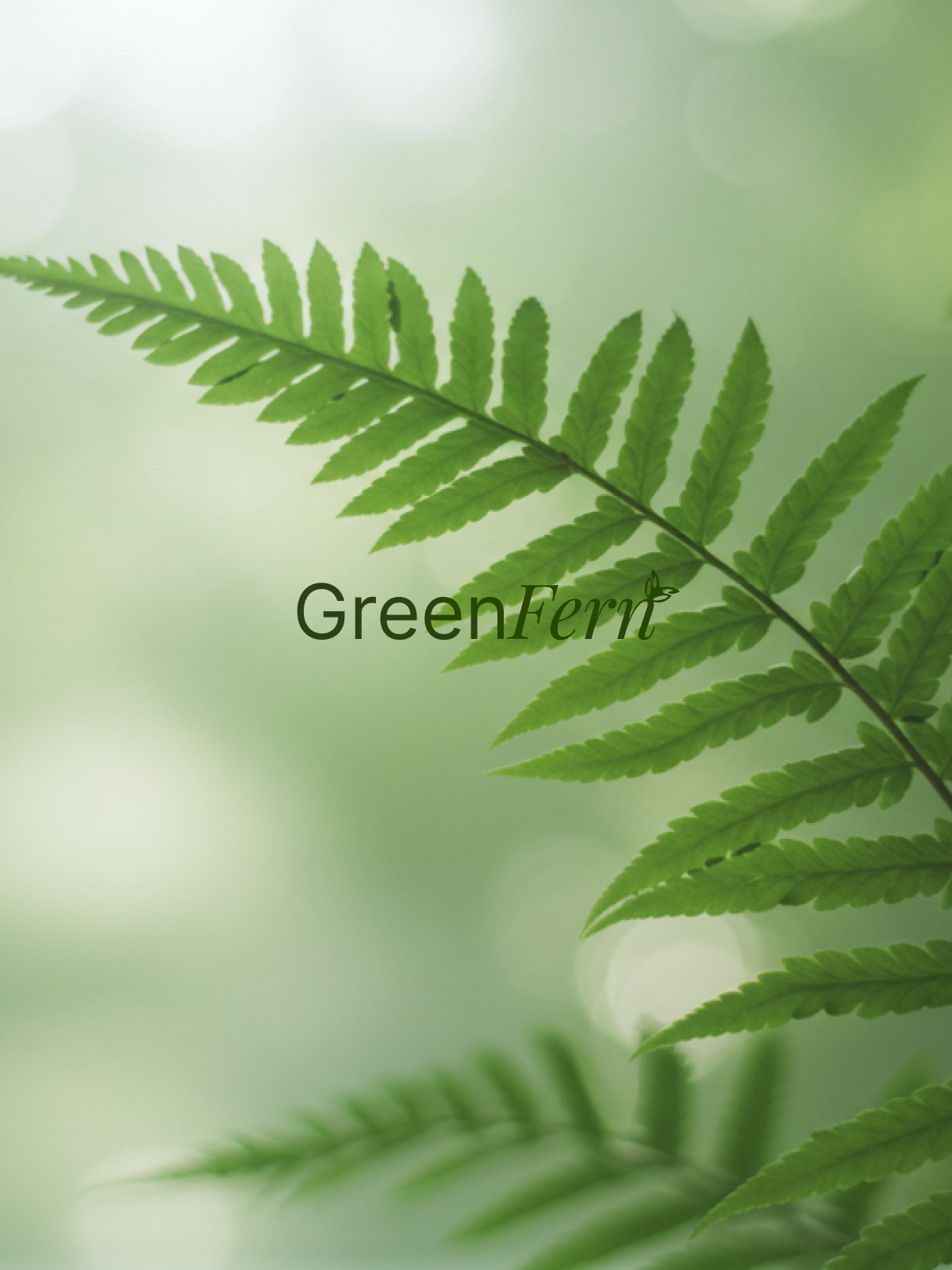 GREEN FERN project image