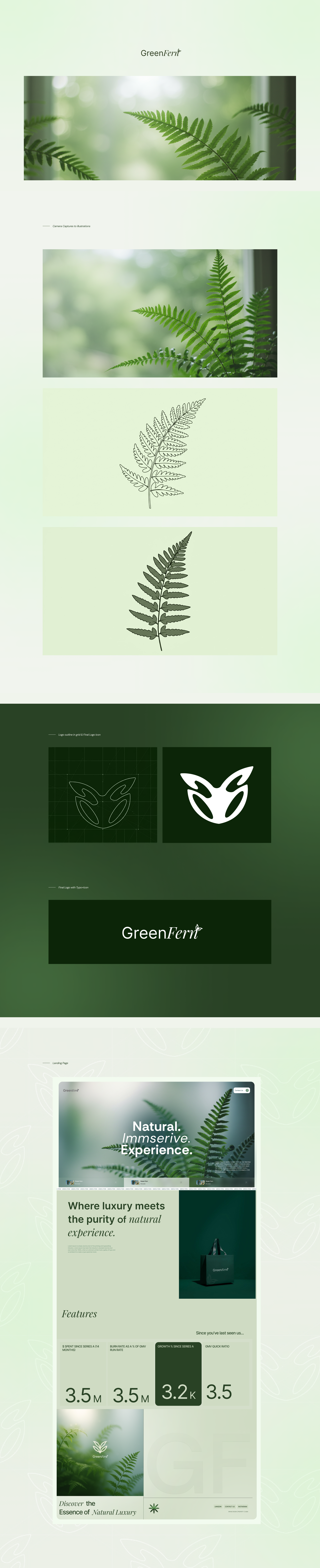 GREEN FERN project image