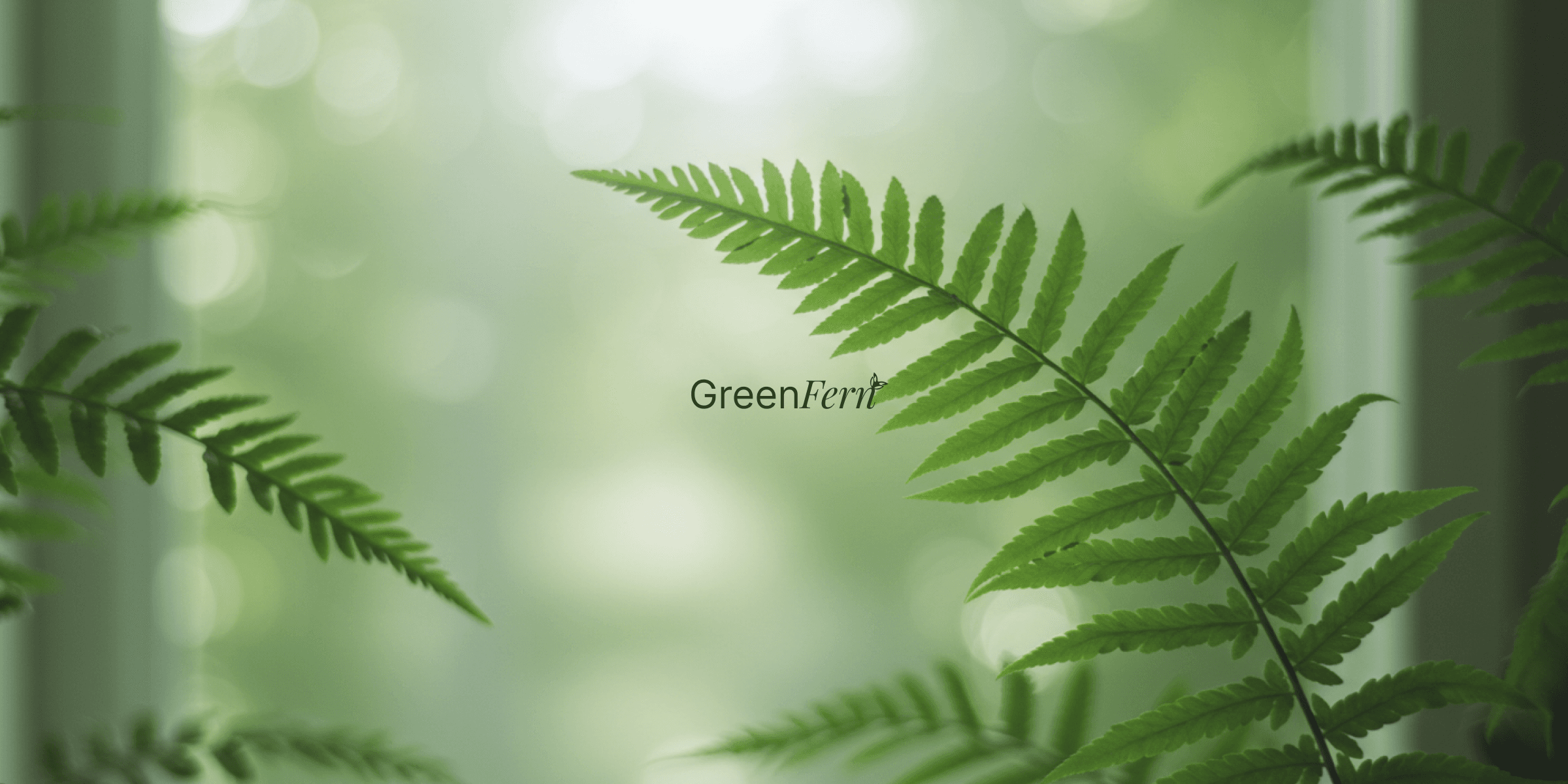 Next Project Preview Green Fern — next project by Undream Studio